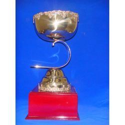 Steel Award Cup