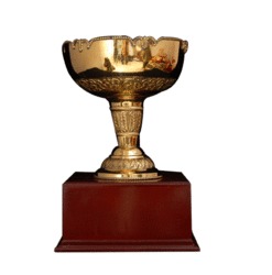 Fancy Award Cup