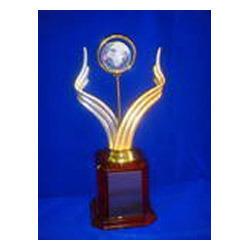 Award Shields