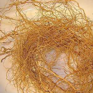 Vetiver Oil Certified Organic