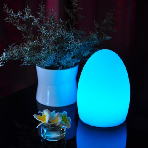 Egg Cordless Lamps