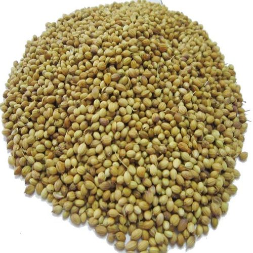 Eagle Quality Coriander Seeds