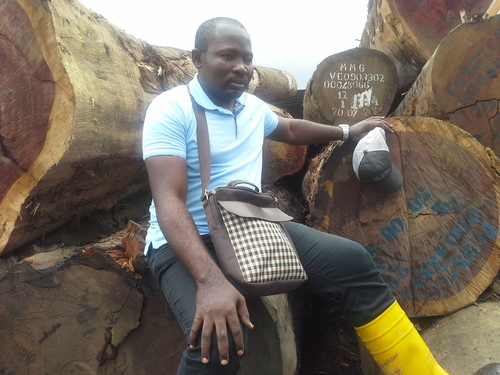 African Padauk Wood Log