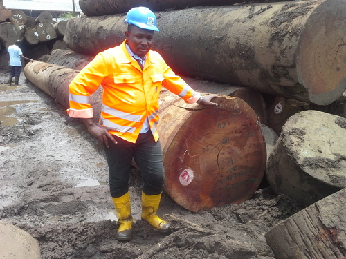 Padauk Wood
