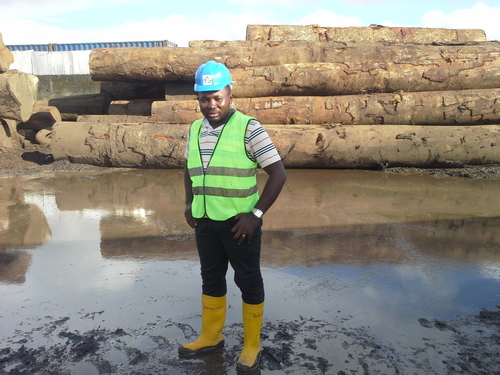 Teak Wood Cutting Log