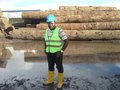 Teak Wood Cutting Log