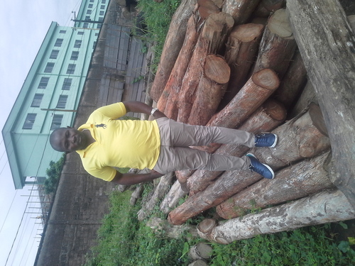 Teak Wood log