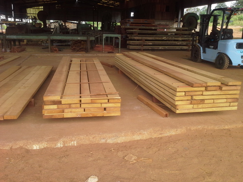 Sal Wood Timber