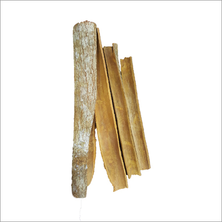 Spilt Cassia