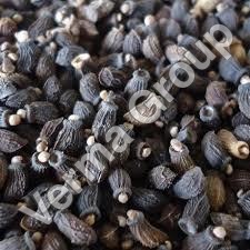 Borage Carrier Oil