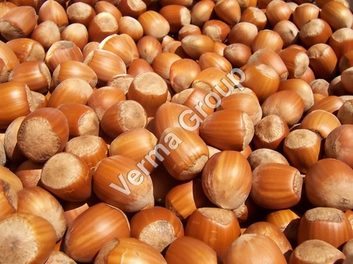 Hazel Nut Carrier Oil