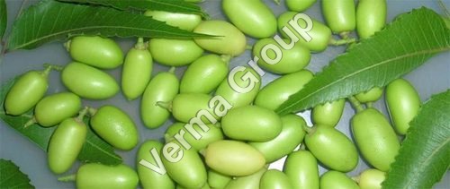 Neem Carrier Oil