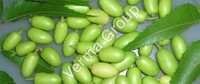 Neem Carrier Oil
