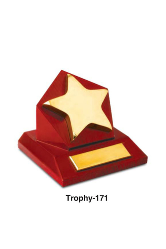 Metal Trophy