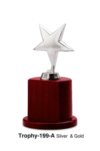 Metal Trophy - Metal and Wood, 15-20 cm Height, Silver Color, Cylindrical Base, Elegant Design, Star Shaped Top, Award Recognition