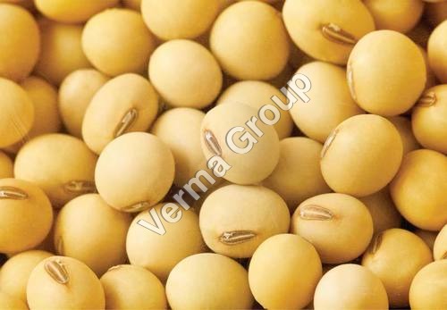 Soya Bean Carrier Oil