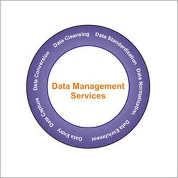 Data Management Services