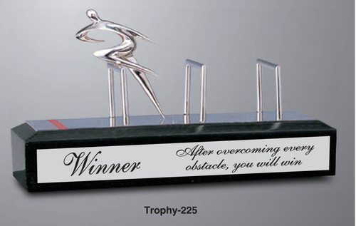 Customised Awards & Trophies