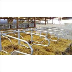 Cow Cubicles