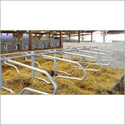 Cattle Cubicle Housing