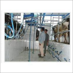 Swing Over Milking Parlour