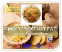 High Quality Fresh Ginger With Competitive Export Price