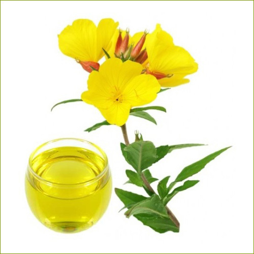 Evening Primrose Oil