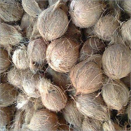 Coconut
