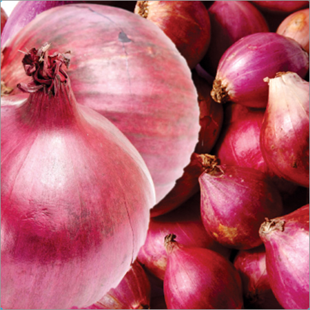 Red Onion