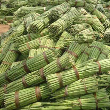 Fresh Vegetables