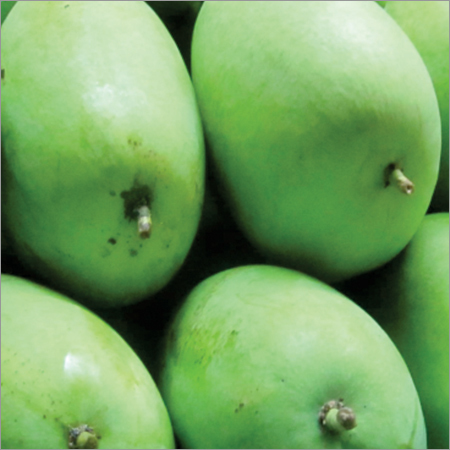 Raw Mango