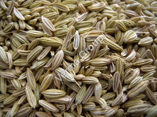 Therapeutic Fennel Oil