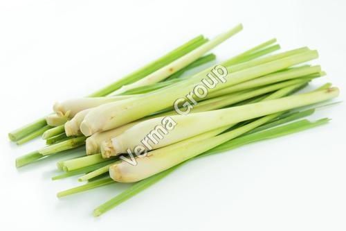 Therapeutic Lemongrass Oil