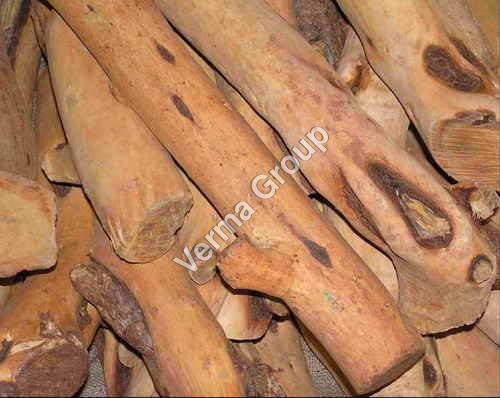 Therapeutic Sandalwood Oil