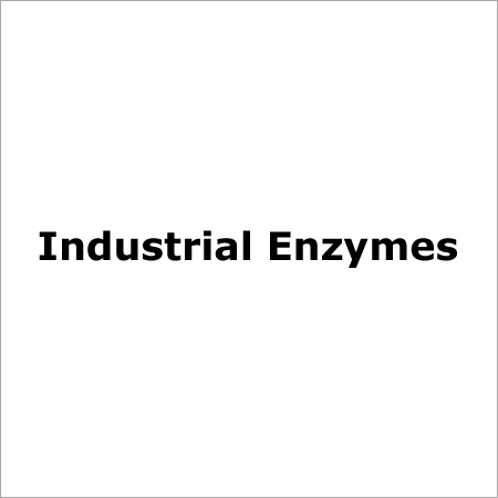 Industrial Enzymes
