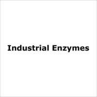 Industrial Enzymes