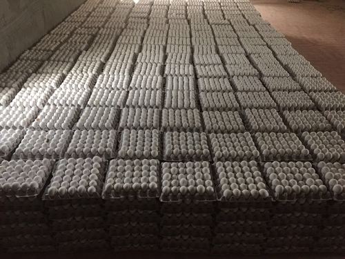 Farm Fresh Eggs