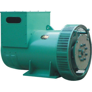 Portable Alternator