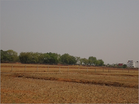 Forest Plantation Project Pricing