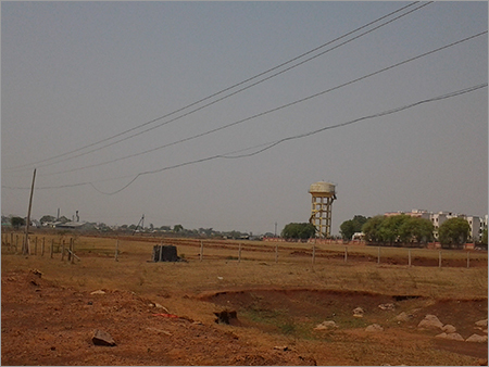 Forest Plantation Land