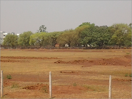 Mixed Species Planted Forest Land