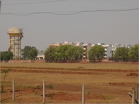 Mixed Species Planted Forest
