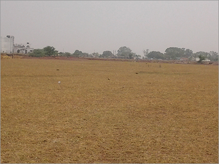 Monsoon Forest Plantation Projects