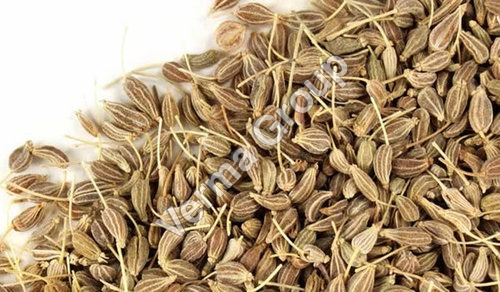 Wild Crafted Anise Seed Oil