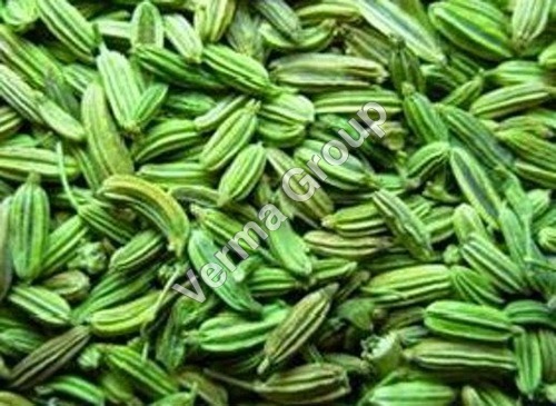 Wild Crafted Fennel Sweet Oil