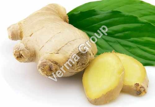 Wild Crafted Ginger Oil