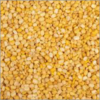 Nutritious Pulses