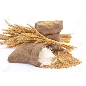 Pure Wheat Flour
