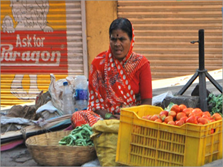 Reusable Vegetable Crates