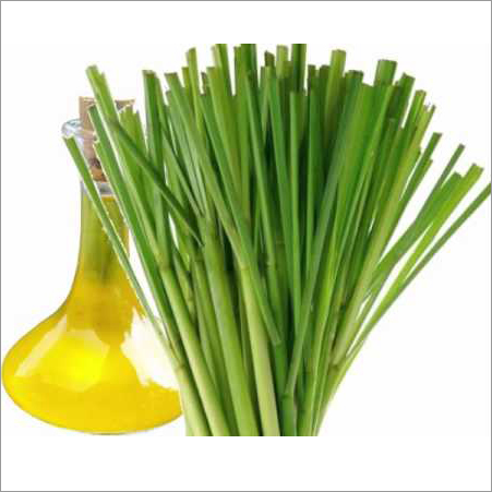 Lemon Grass Oil